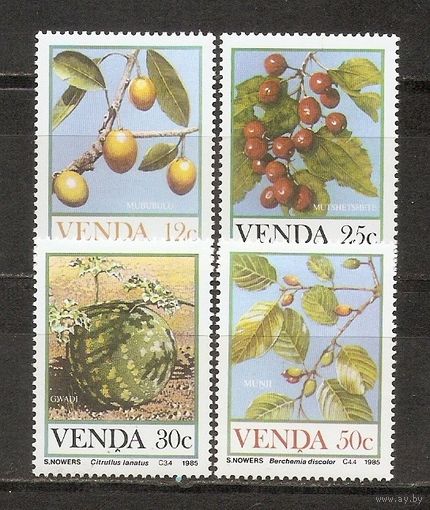 Венда 1985 Плоды