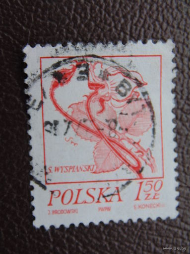 Польша. Цветы.