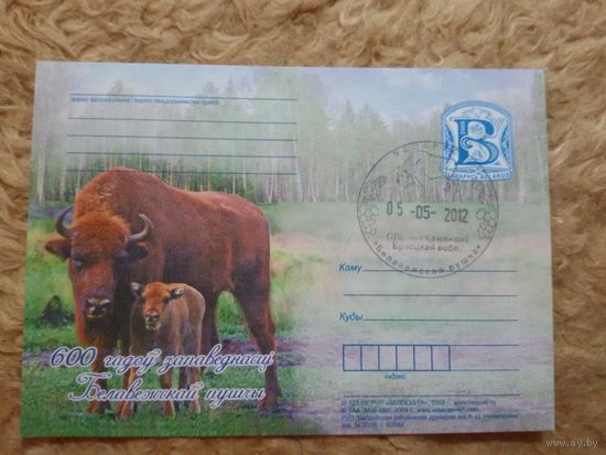 СГ Беларусь. 2012. Беловежская пуща. Зубры