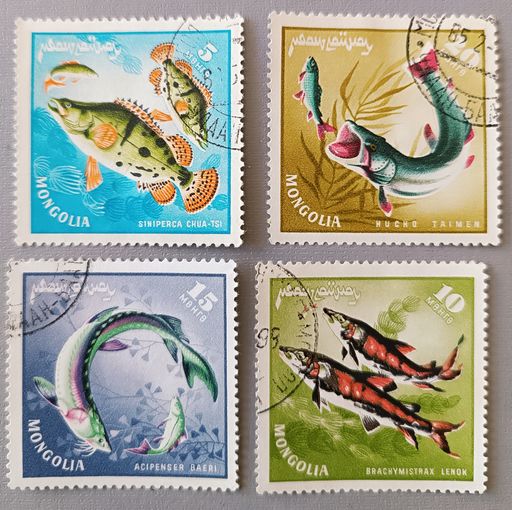 Промысловая рыба. Монголия,1965