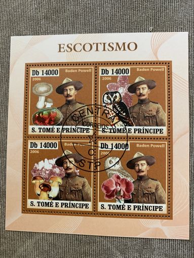 Сан Томе и Принсипи 2006. Baden Powell. Малый лист