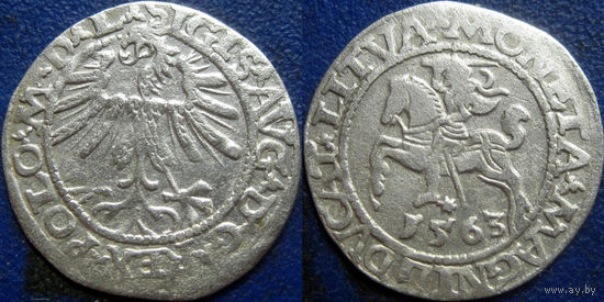 ВКЛ. Полугрош 1563 года. Малая Погоня.