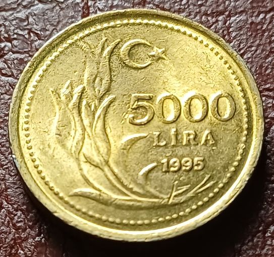 Турция 5.000 лир, 1995    ( 1-5-7 )