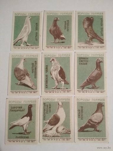 Спичечные этикетки ф.Красная звезда. Породы голубей. 1963 год