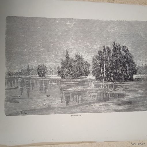 Половодье.      Энциклопедическая гравюра конец 19в. 21х27см.