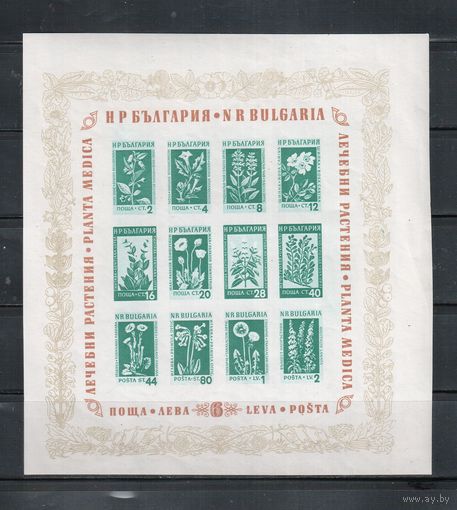 Болгария-1953, (Мих.Бл.4) , **  , Цветы