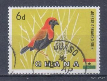 [1862] Гана 1959. Фауна.Птицы.Ткачик. Гашеная марка.