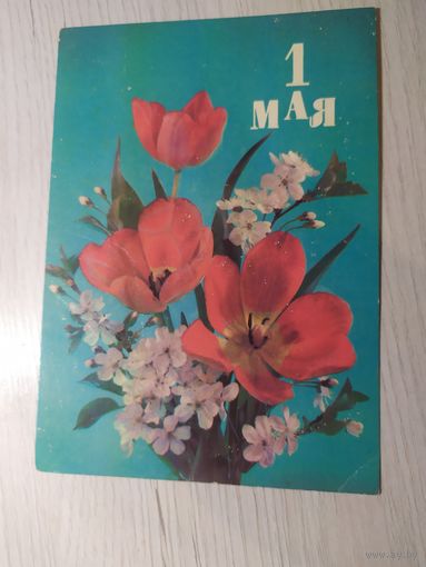 Открытка "С 1 мая"