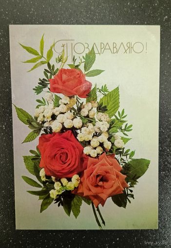 Открытка 1989 Поздравляю! фото Дергилева розы и тысячелистник птармика чистая