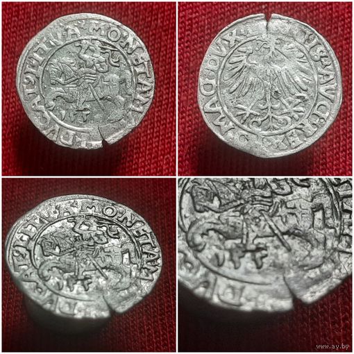 Полугрош 1551(?)  Года