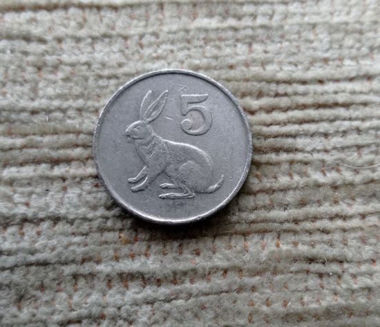Werty71 Зимбабве 5 центов 1997 Заяц