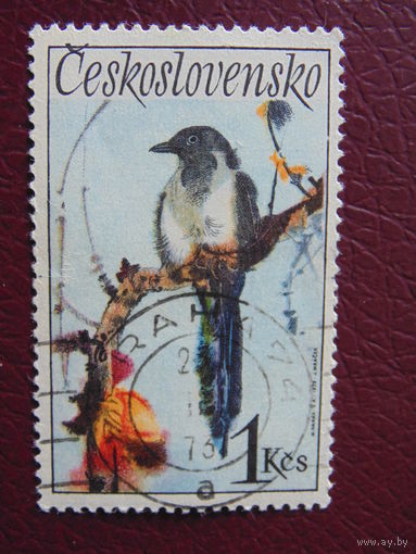 Чехословакия 1972 г. Птицы.