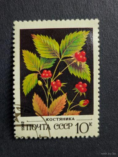 1982 СССР. Дикие ягоды. Костяника