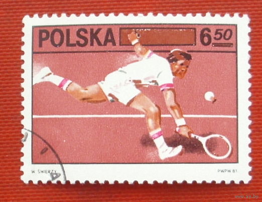 Польша. Теннис. Спорт. ( 1 марка ) 1981 года. 6-3.