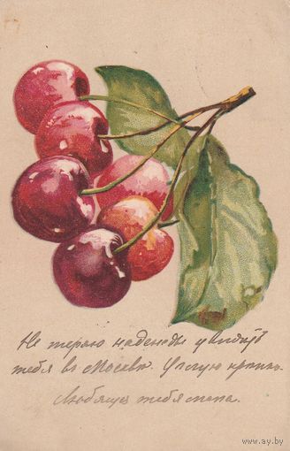 Открытка ,,Вишни,, 13