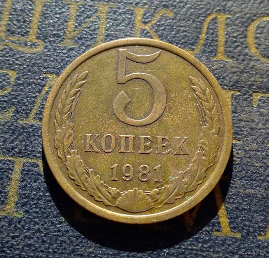 5 копеек 1981 СССР #18