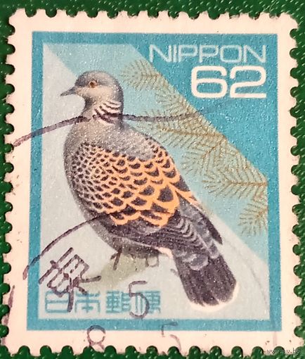 Япония 1992. Большая горлица