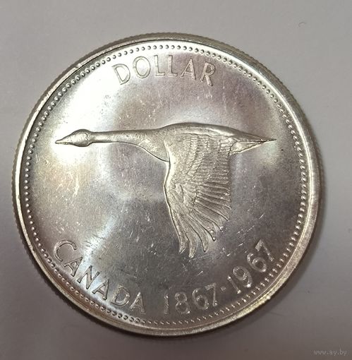 1 доллар 1967 Канада сахарная! Серебро
