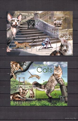 Соломоновы острова 2012 Фауна домашние кошки - 1 лист + 1 блок MNH**