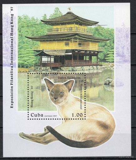 Куба 1997. Сиамская кошка блок (3993)