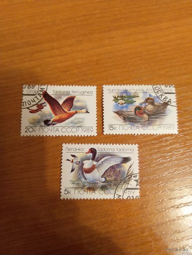 1989 СССР Загорский 6017-6019 гашеная полная MNH** фауна птицы (c-12)