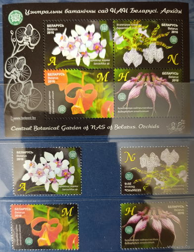 Беларусь 2016 Орхидеи