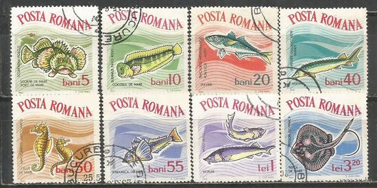 Румыния. Рыбы. 1964г. Mi#2280-87. Серия.