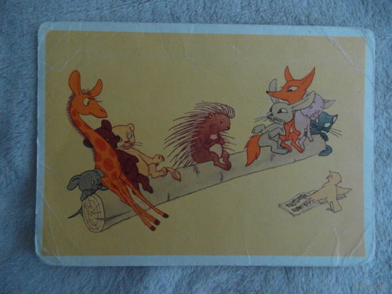 Гуров. Колючий сосед. 1964 г. 10х15 см. Чистая.