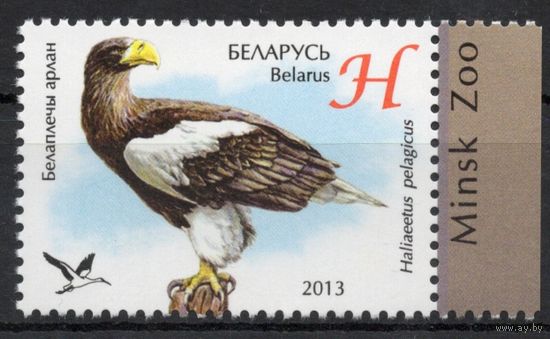 Беларусь 2013. Фауна. Птица Белоплечий орлан. 1 марка 966 (662)