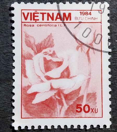 Марка Вьетнам 1984 год Цветы