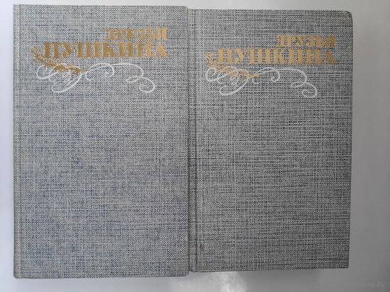 Друзья Пушкина. Переписка. Воспоминания. Дневники (комплект из 2 книг)