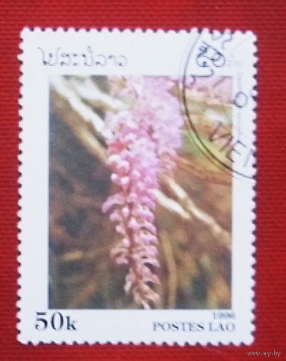 Лаос. Флора. ( 1 марка ) 1996 года. 10-8.