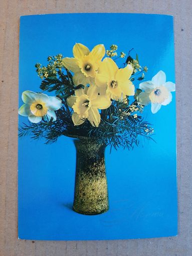 Чистая Открытка 8 Марта Зеленова 1982 г.