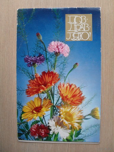 ДВОЙНАЯ ЧИСТАЯ ОТКРЫТКА.СССР. ПОЗДРАВЛЯЮ. 1980 год. фото. Б. СТОЛЯРОВА.