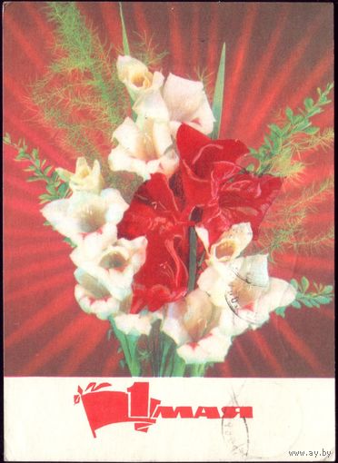 1972 год И.Дергилёв 1 мая