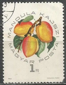 Венгрия. Фрукты. Абрикосы. 1964г. Mi#2046.