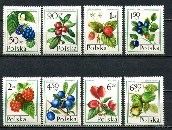 Польша - 1977 - Дары леса. Ягоды - [Mi. 2487-2494] - полная серия - 8 марок. MNH.  (Лот 90Go)-T41P5