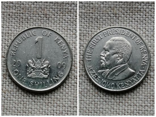 Кения 1 шиллинг 2009