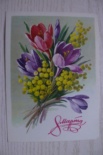 Куртенко Г., 8 Марта; 1981, чистая.