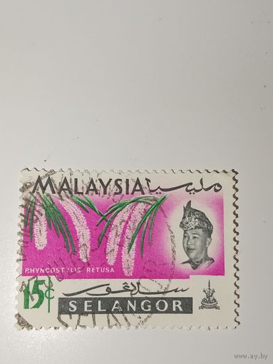 Малайзия, 1965 год Султана Селангора, Султана