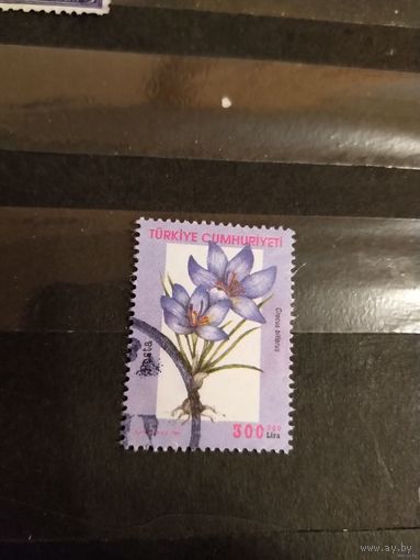 2000 Турция флора цветы дорогая (2-15)