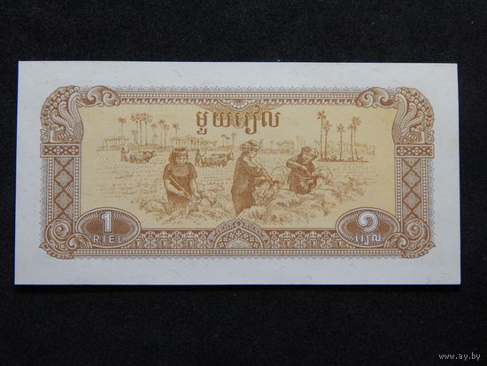 Камбоджа 1 риель 1979г.UNC