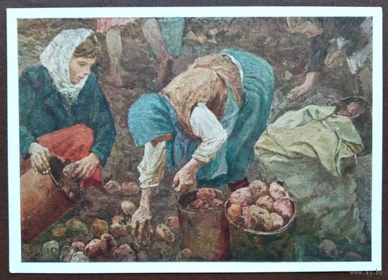 Пластов А. Сбор картофеля. Соцреализм. 1958 г. Чистая