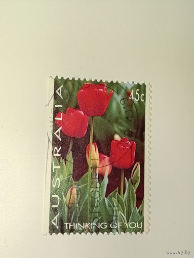 Австралия год 1994.  из серии Thinking of You (Думаю о тебе)