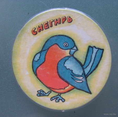 Значок Снегирь.