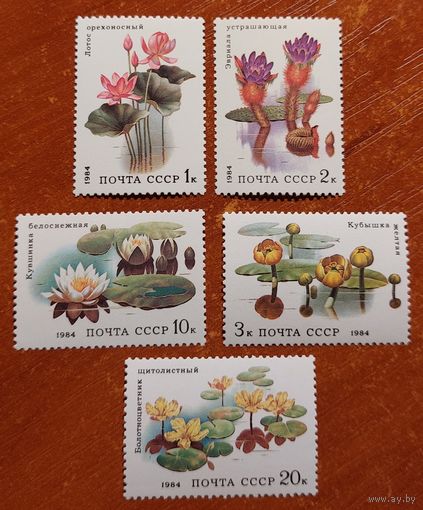 CCCР 1984 Флора
