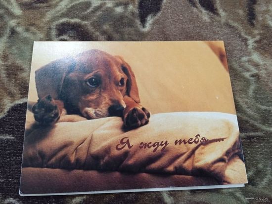 Я жду тебя. Адкрытае пiсьмо. Двойная. Чистая.