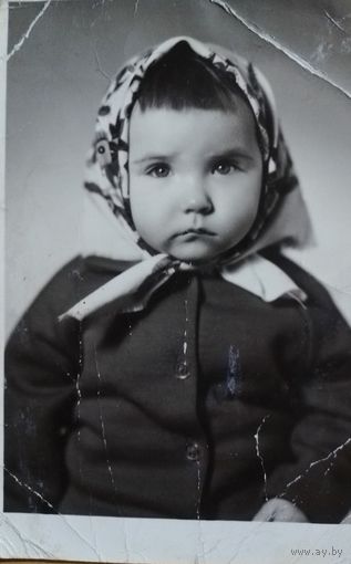 Фото в коллекцию