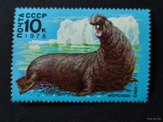 1978 СССР. Арктическая Фауна. Морской слон