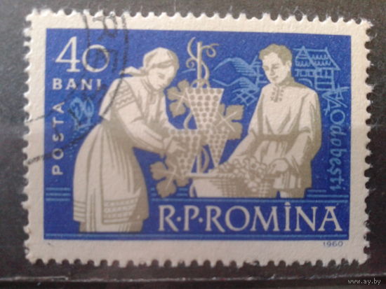 Румыния 1960 Виноделие, сбор винограда